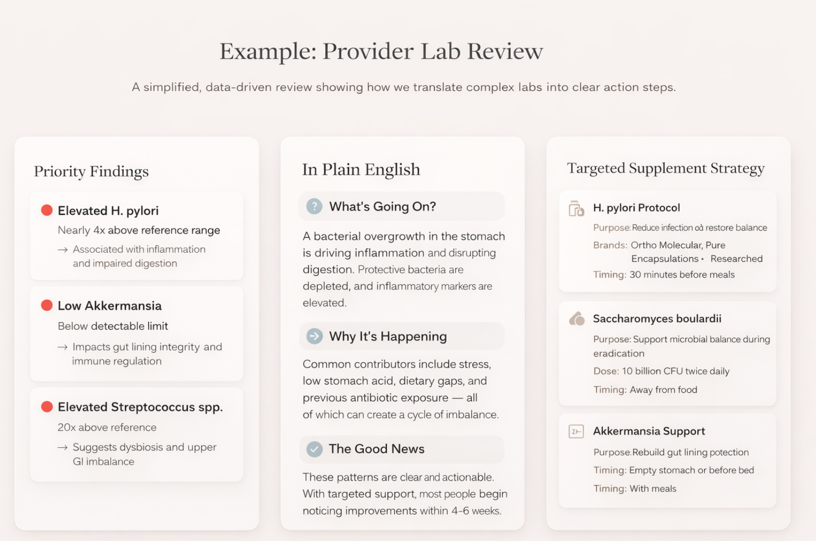 Provider Review — Comprehensive Results Breakdown