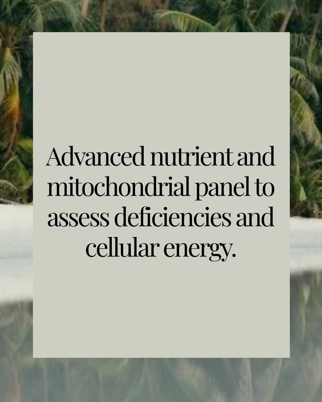 NutraEval® — Comprehensive Nutrient & Metabolic Assessment